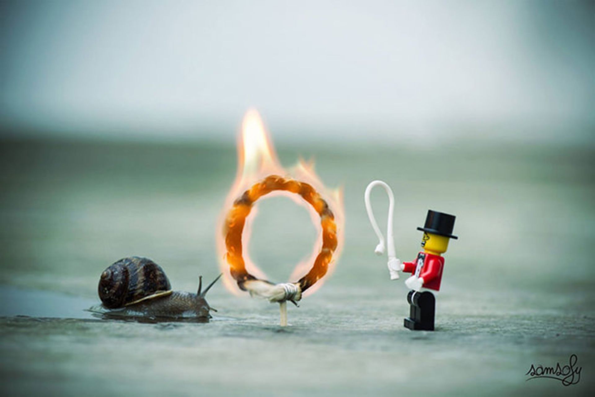 ماجراهای لگویی