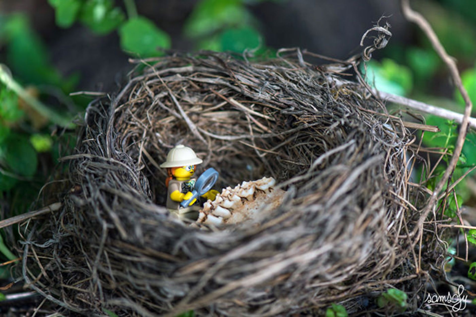 ماجراهای لگویی