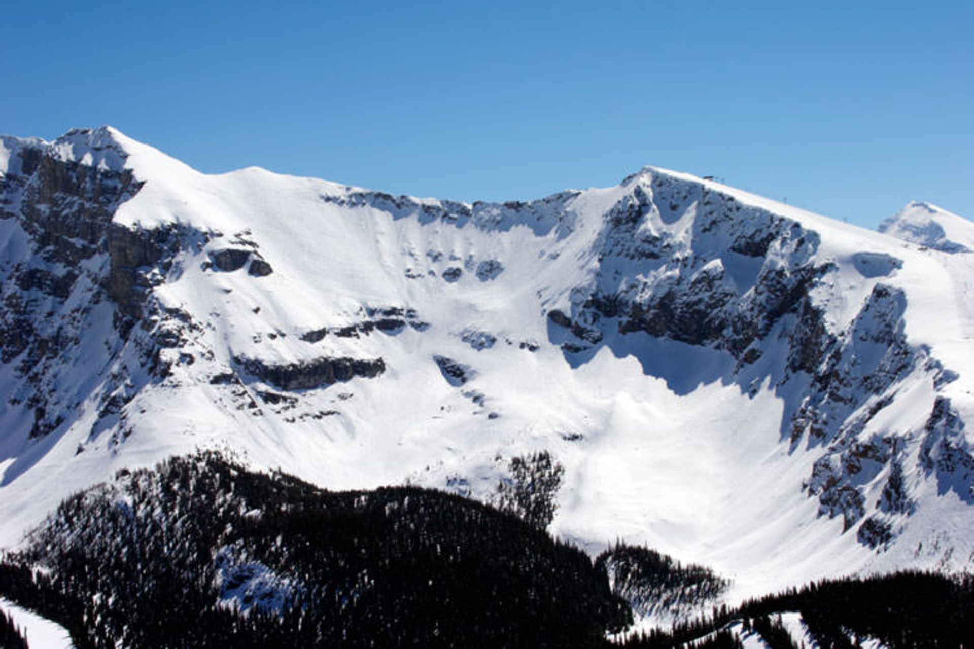 3 Delirium Dive Canada