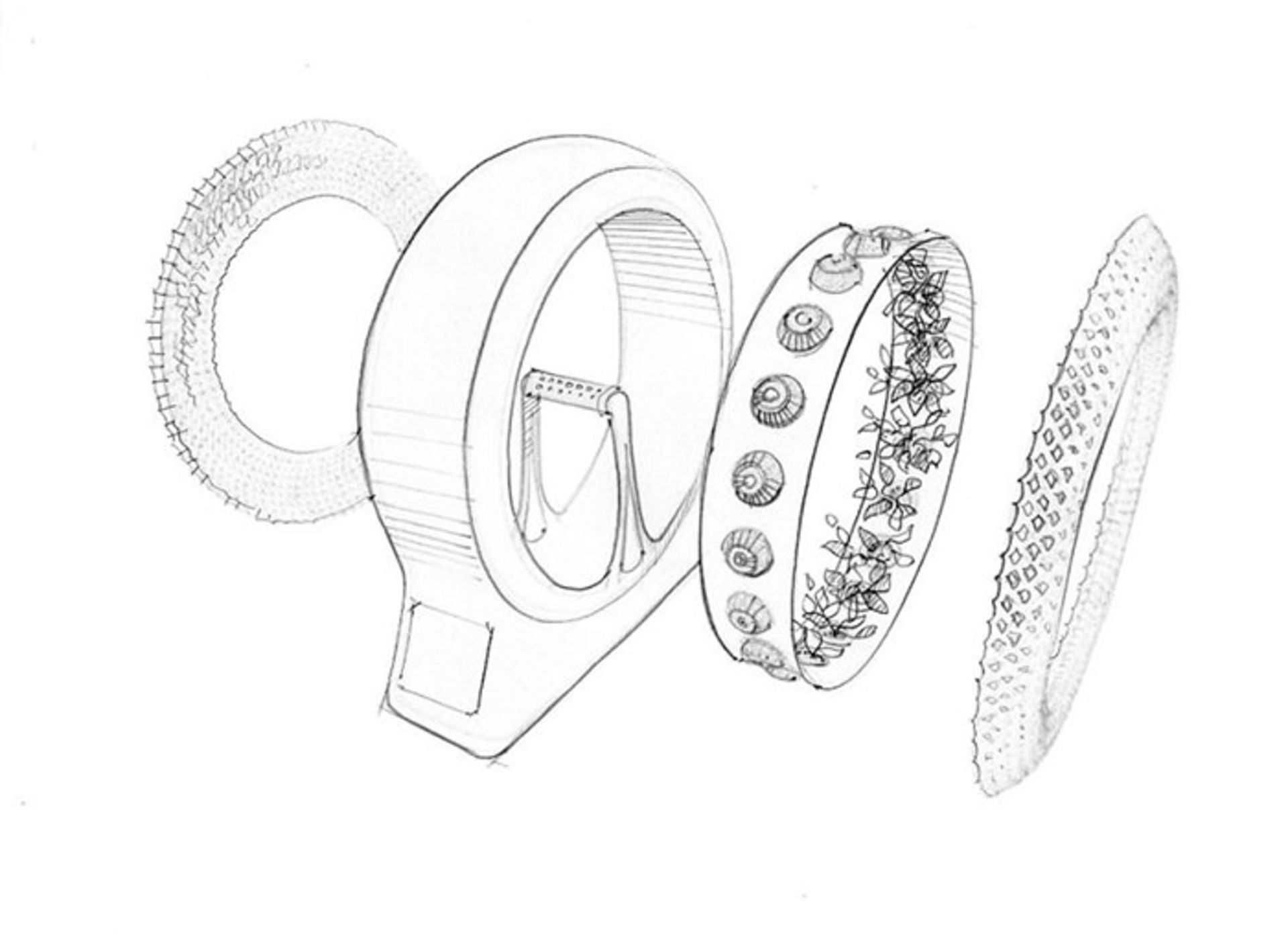 گردونه‌ سبز و فراهم آوردن امکان کاشت سبزیجات در باغچه‌ای خانگی
