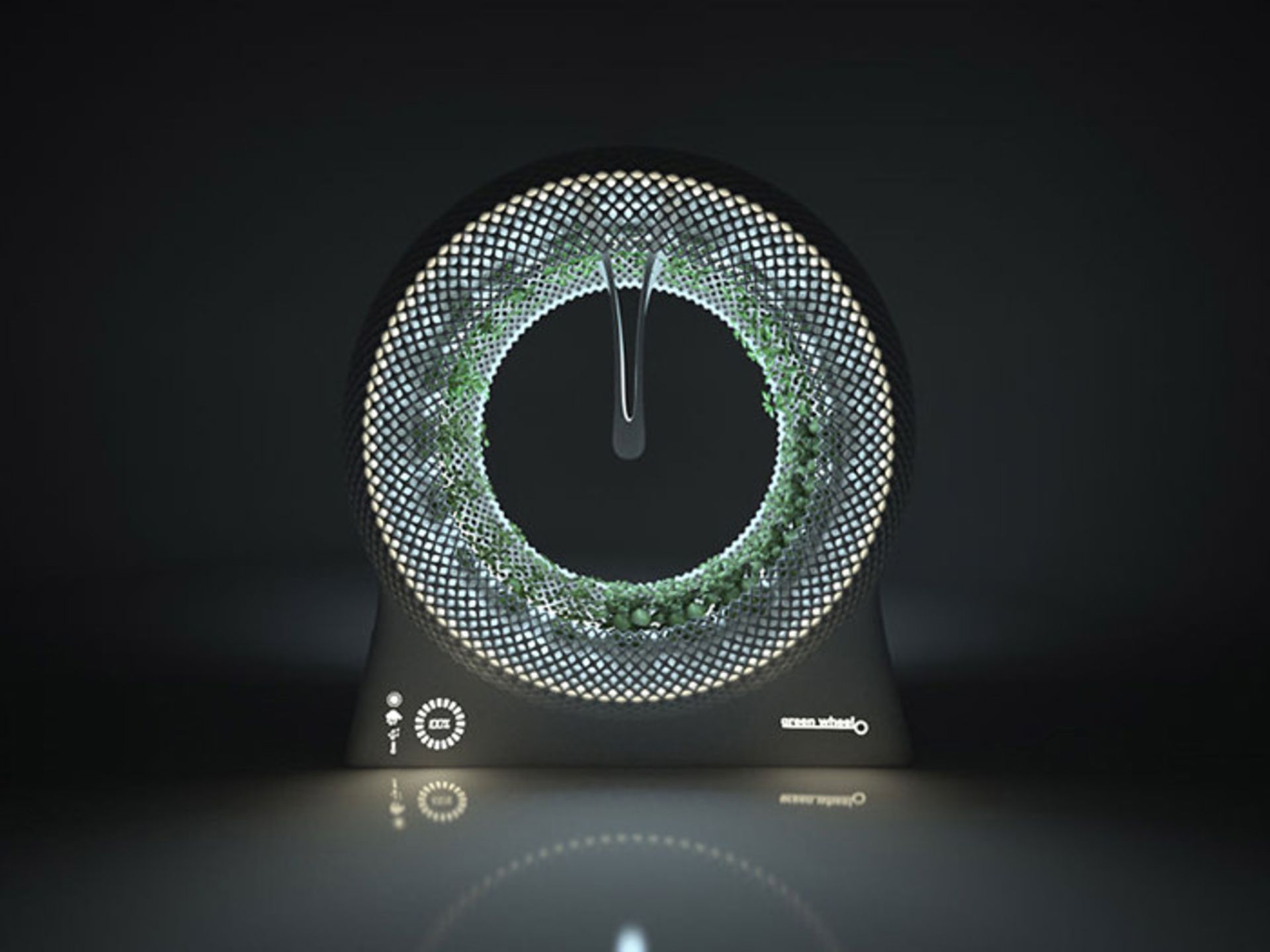 گردونه‌ سبز و فراهم آوردن امکان کاشت سبزیجات در باغچه‌ای خانگی