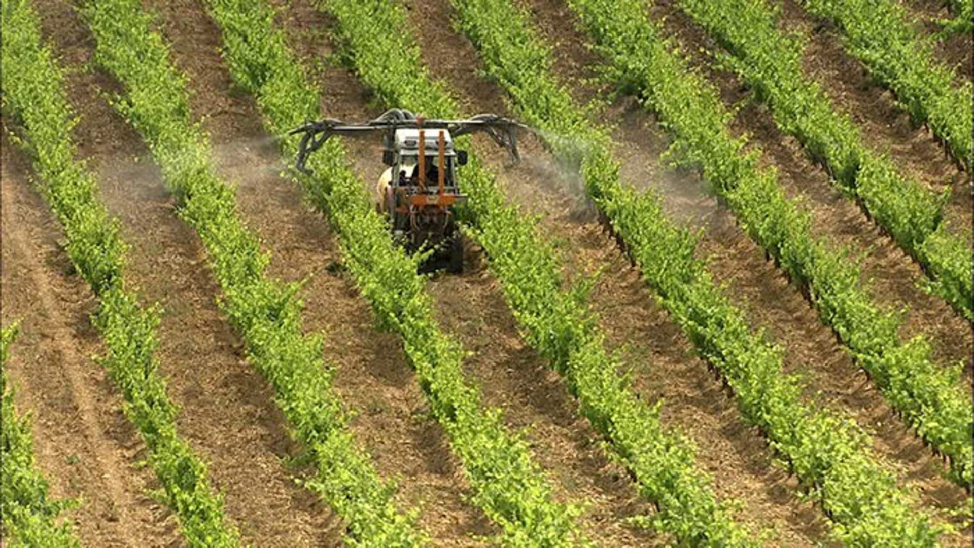 کشاورزی صنعتی