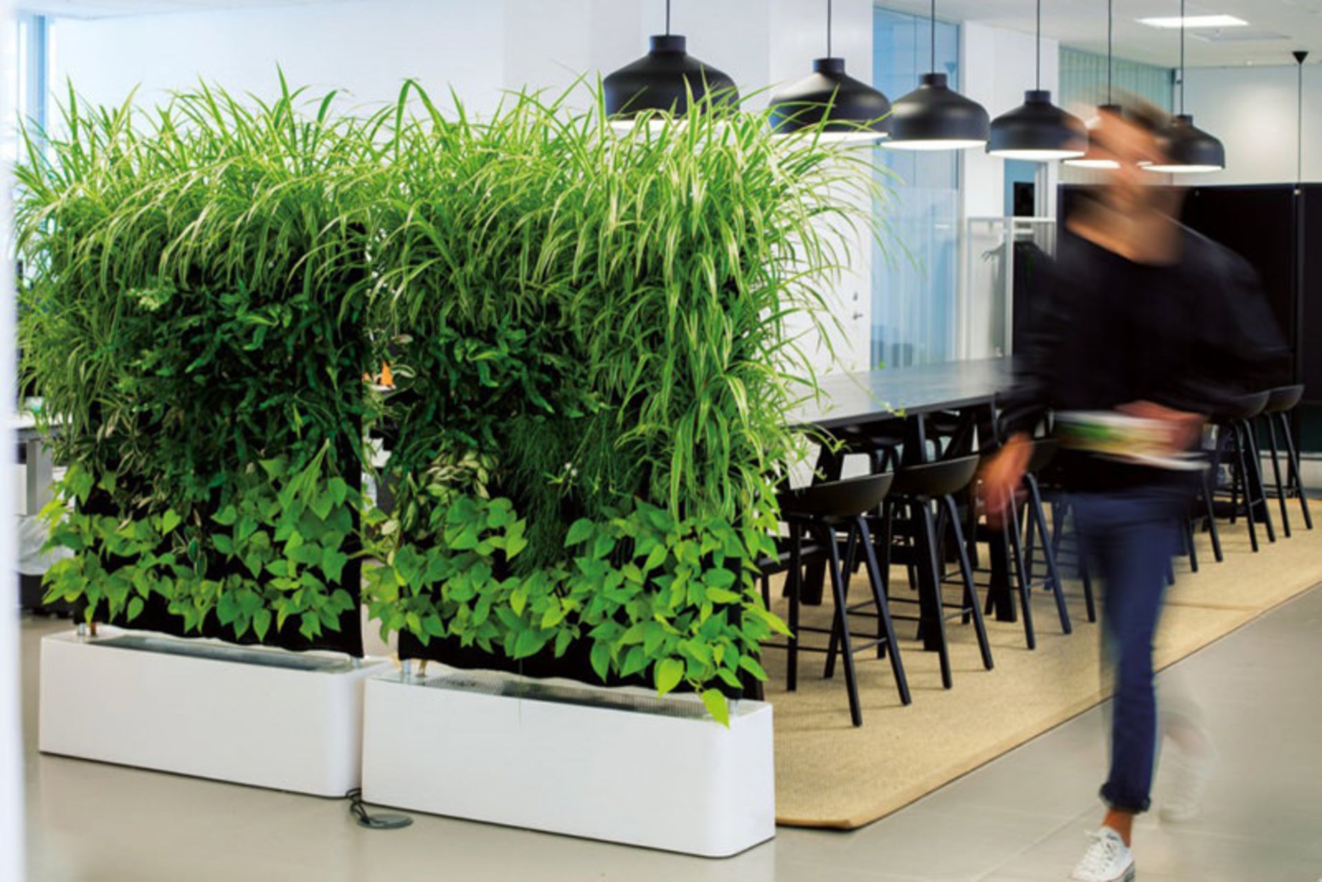 خلاقیت در طراحی فضاهای داخلی