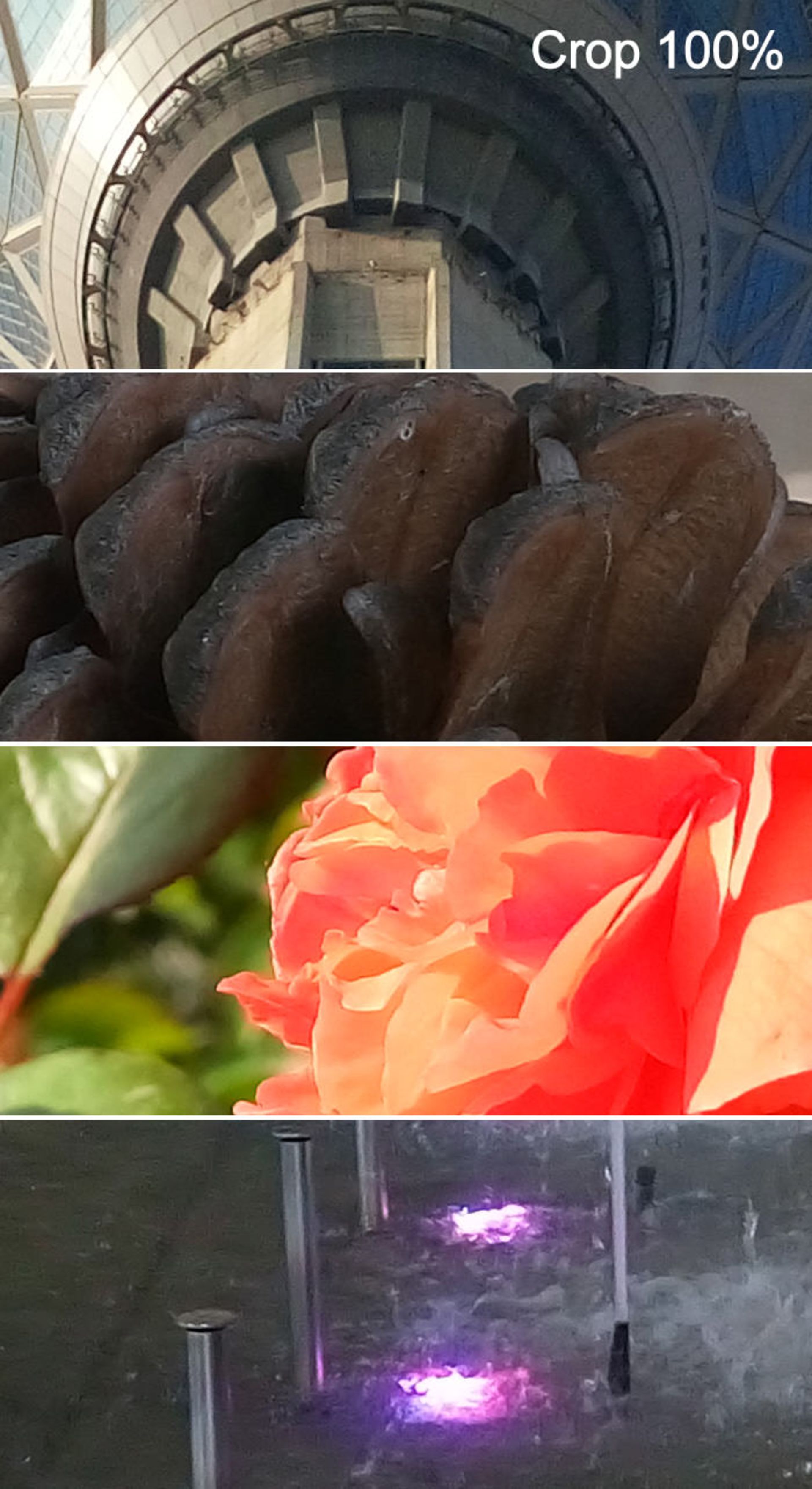 بررسی گوشی اکسپریا ام 5 سونی (Xperia M5 Dual)