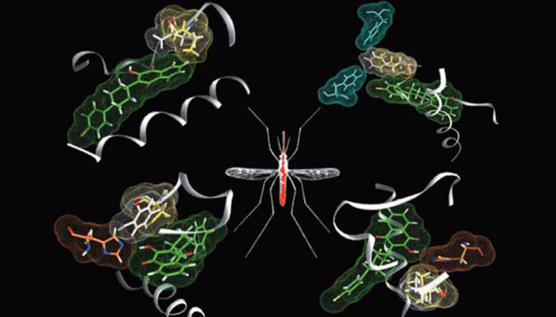 مرجع متخصصين ايران disc malaria 01