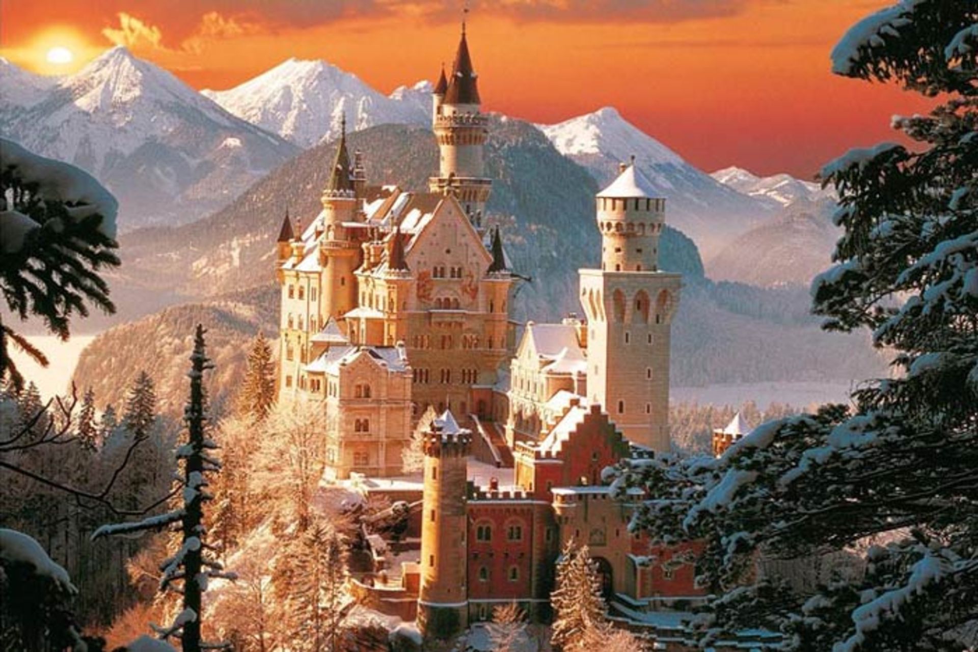 bavarian castle neuschwanstein trees sunset