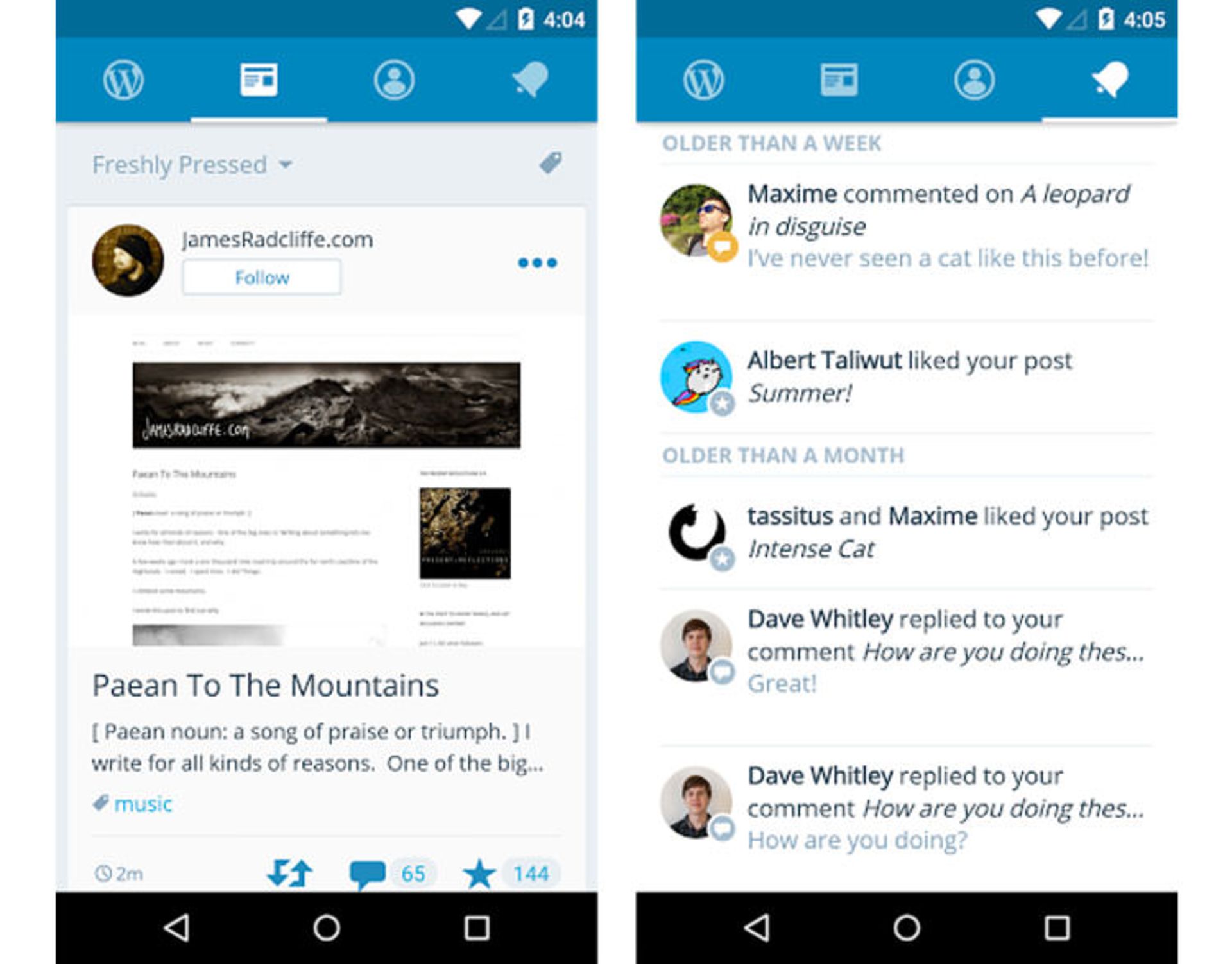 wordpress2