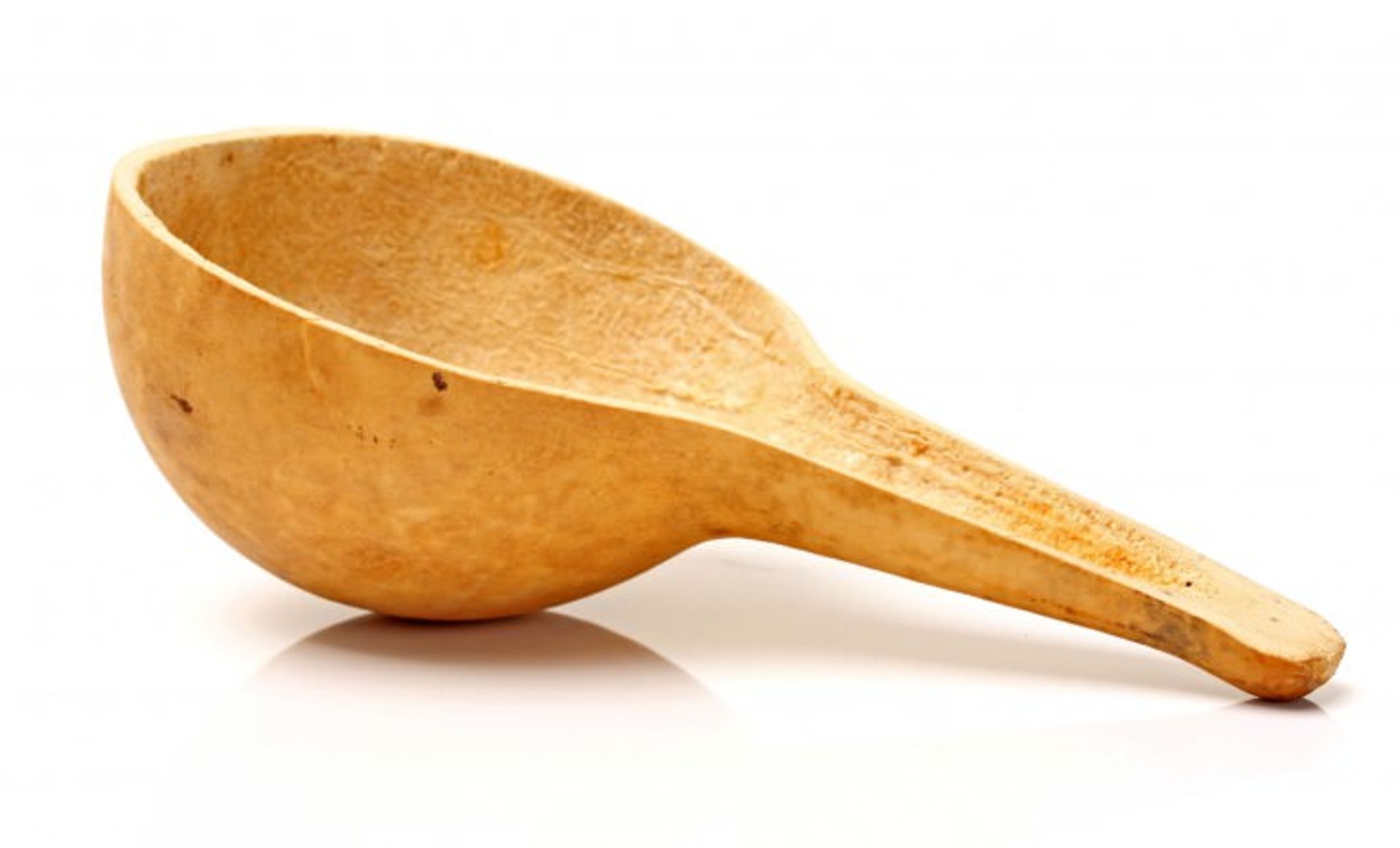 shutterstock 158512259-730x442