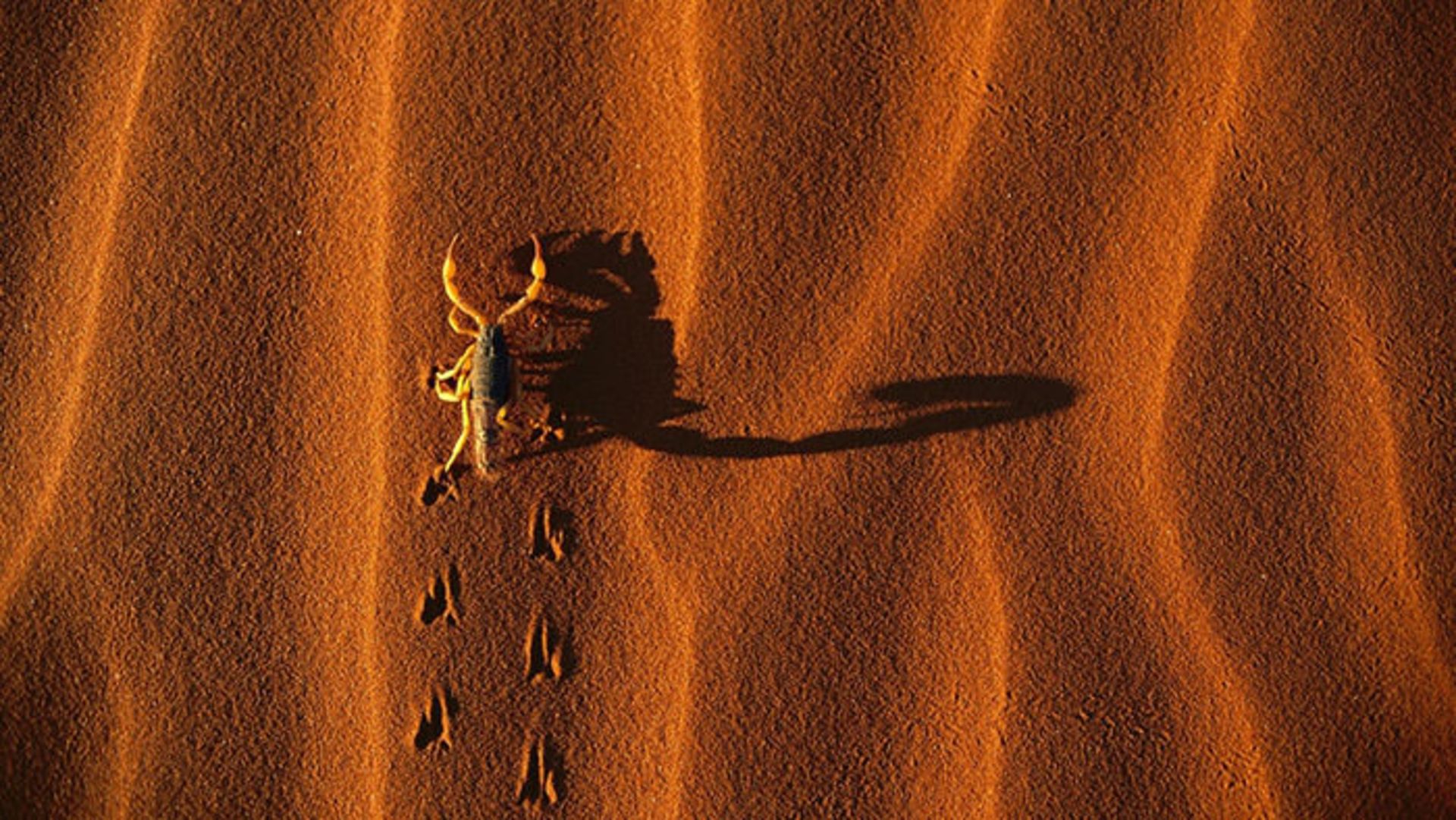 زیبایی کویر، اعجاز آسمان