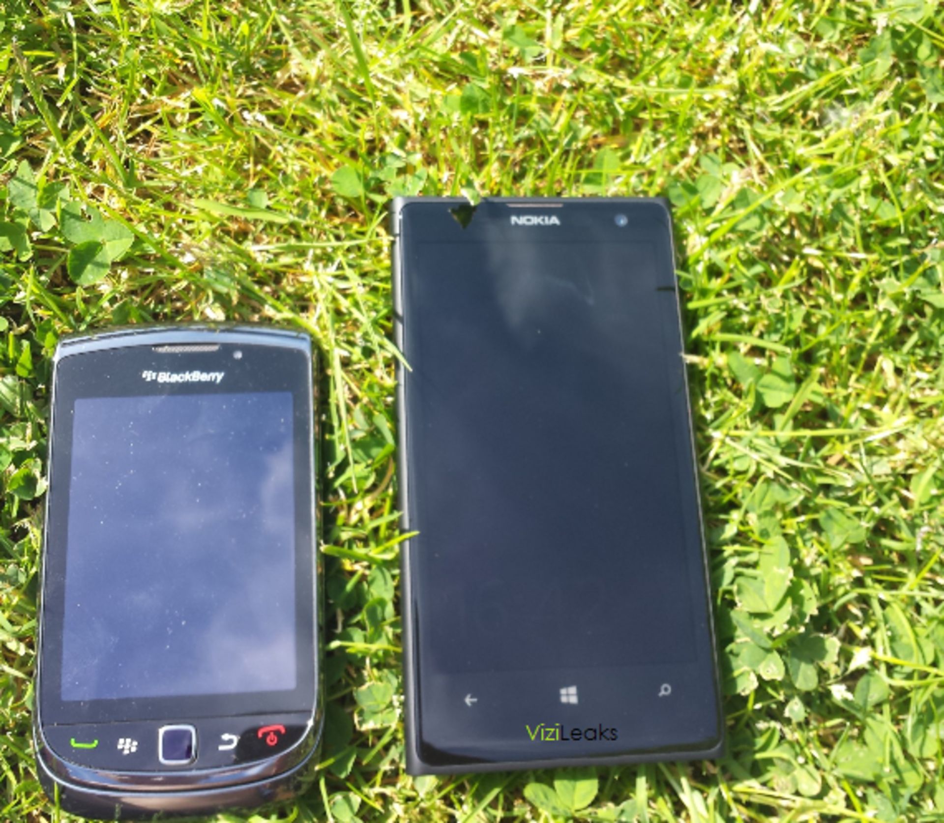 EOS Lumia Grass