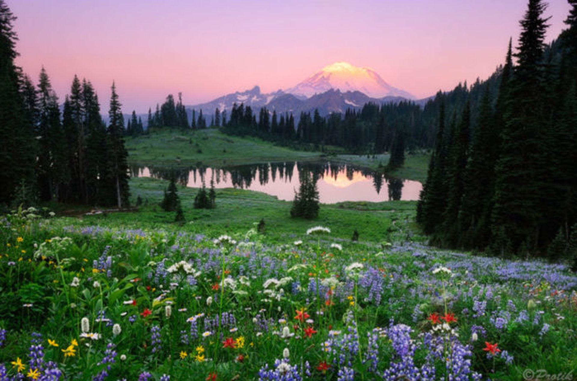 دریاچه تیپسو