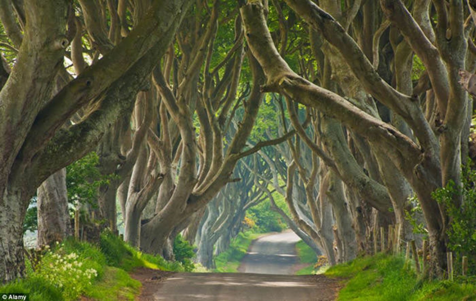 (Game of Thrones)، بازی تاج و تخت