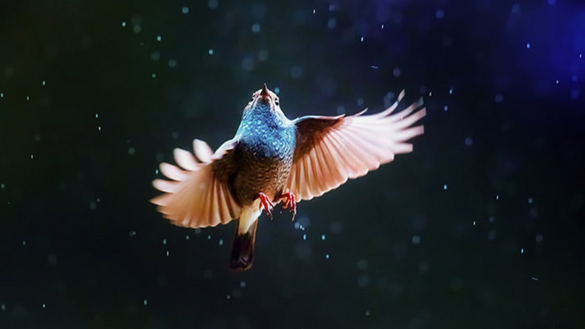 یک روز بارانی