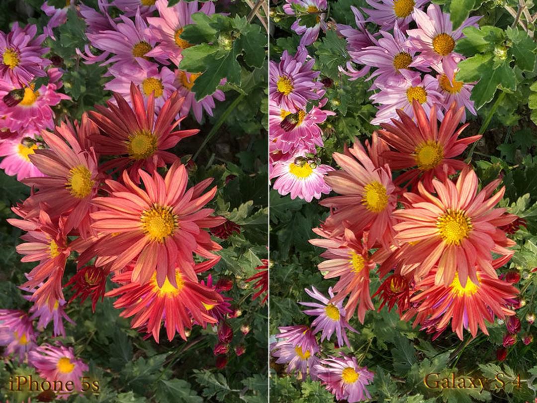 iPhone 5s vs Galaxy S4