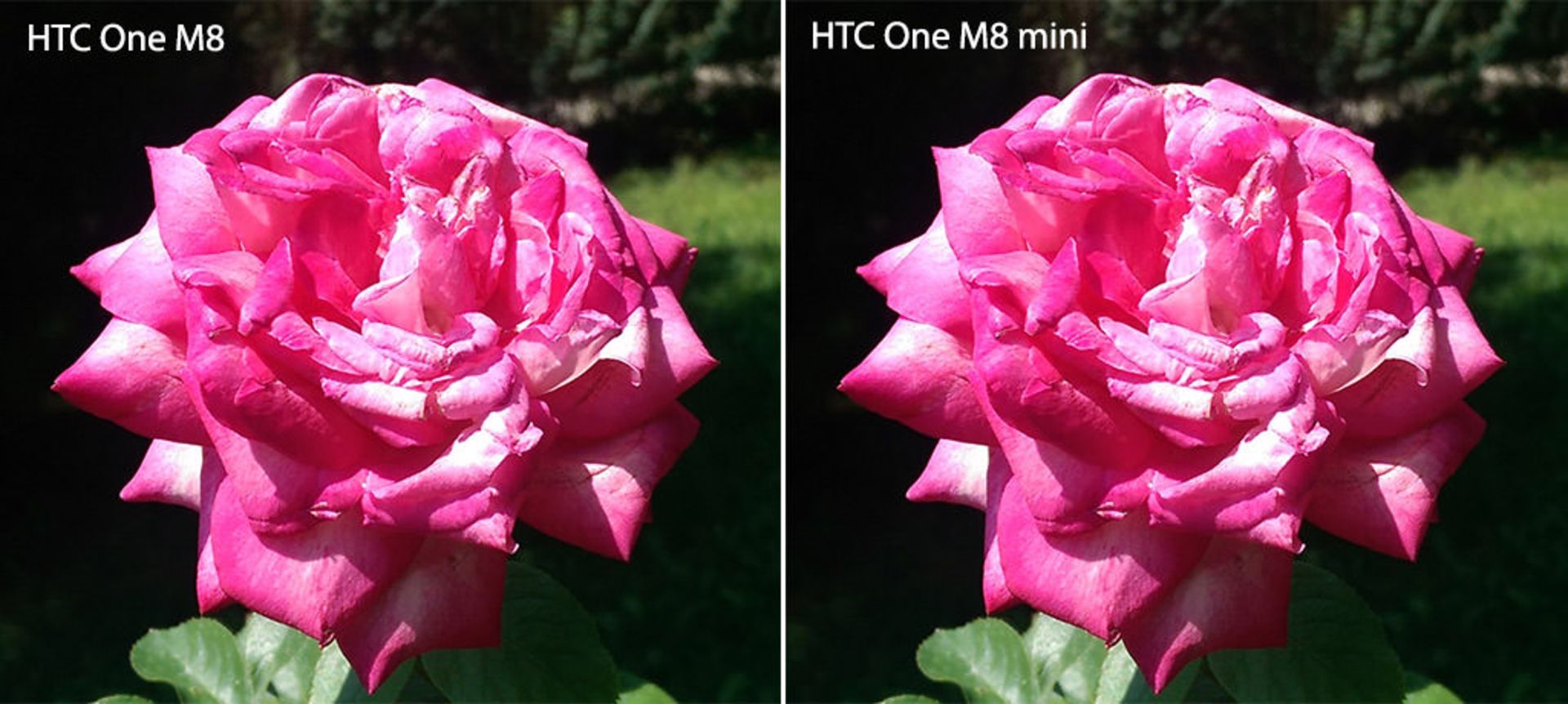 بررسی تلفن One M8 mini اچ‌تی‌سی