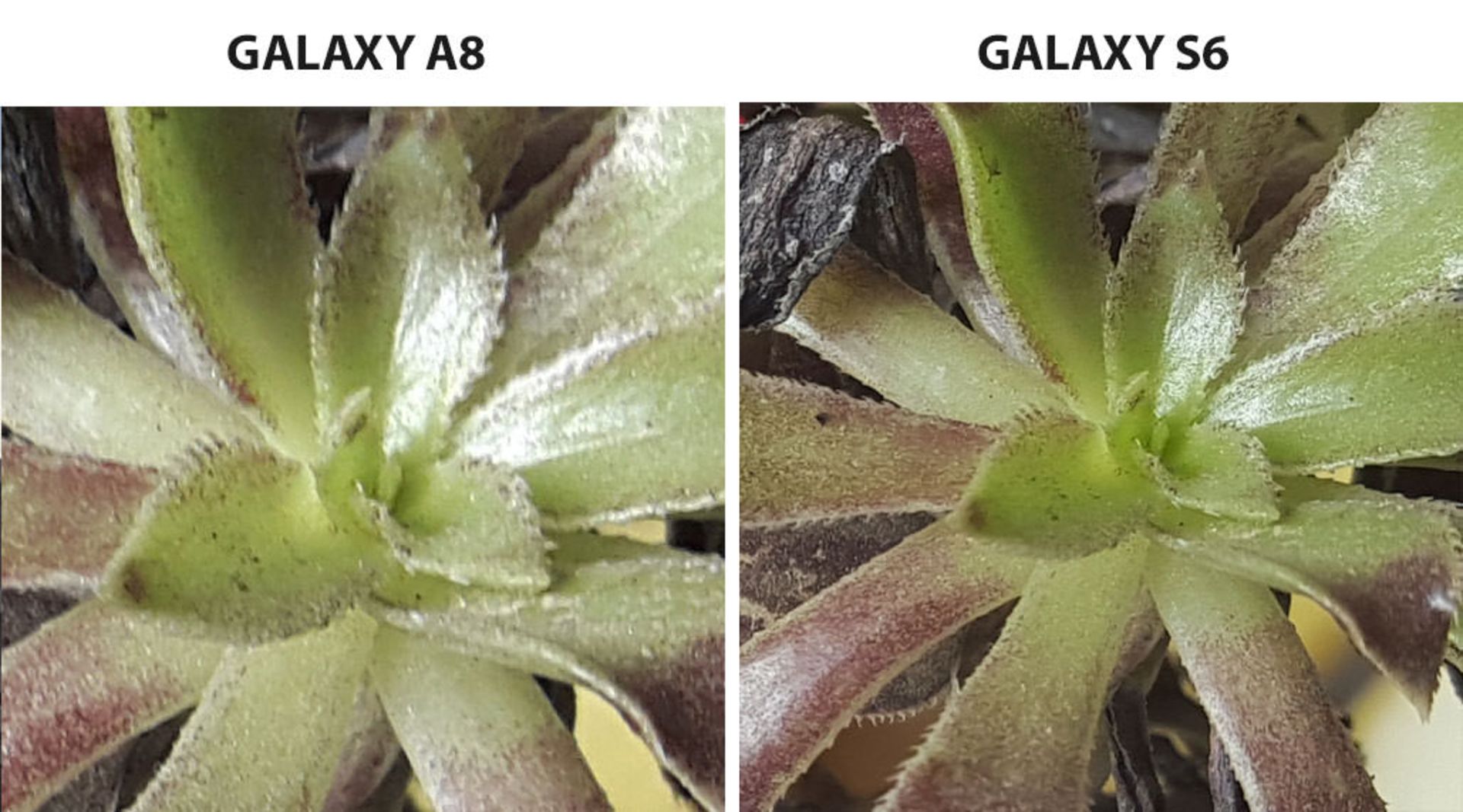 بررسی تلفن گلکسی A8 سامسونگ (Galaxy A8)