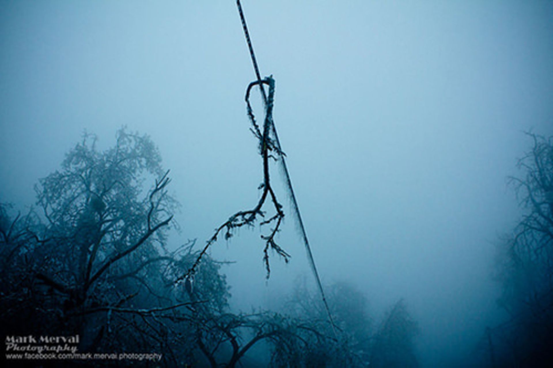 آخرین قدرت نمایی‌های فصل زمستان