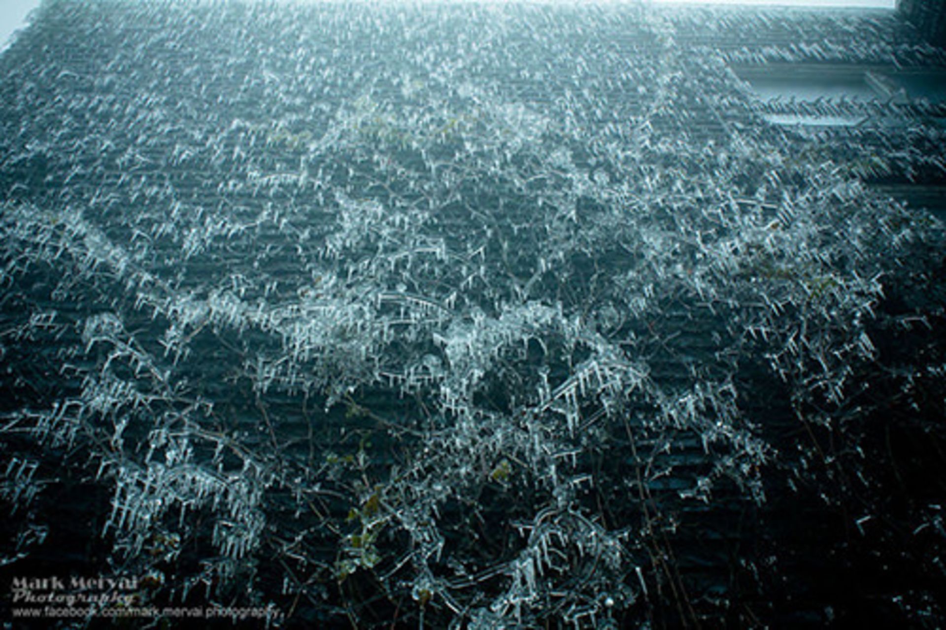 آخرین قدرت نمایی‌های فصل زمستان