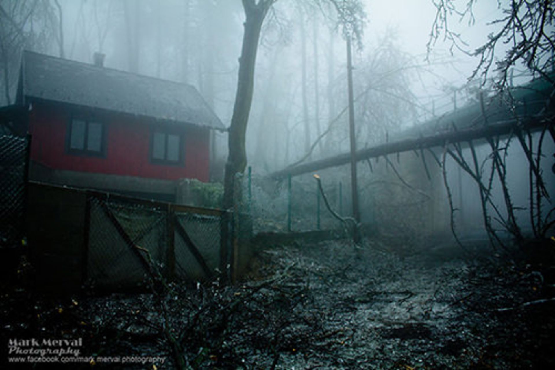 آخرین قدرت نمایی‌های فصل زمستان