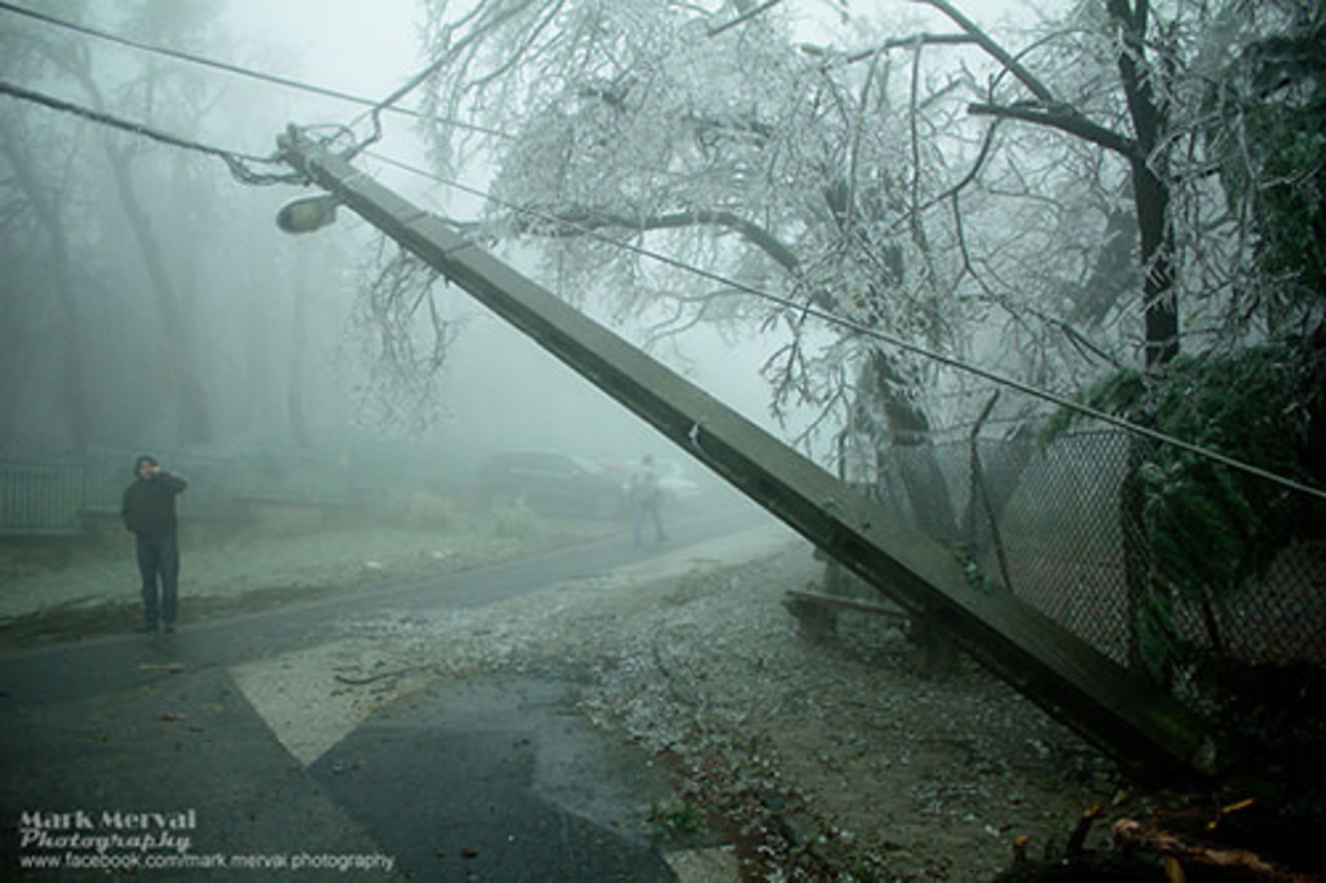 آخرین قدرت نمایی‌های فصل زمستان