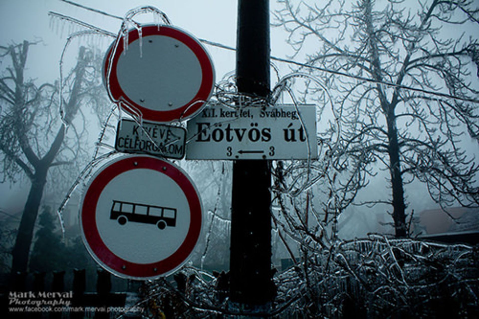 آخرین قدرت نمایی‌های فصل زمستان