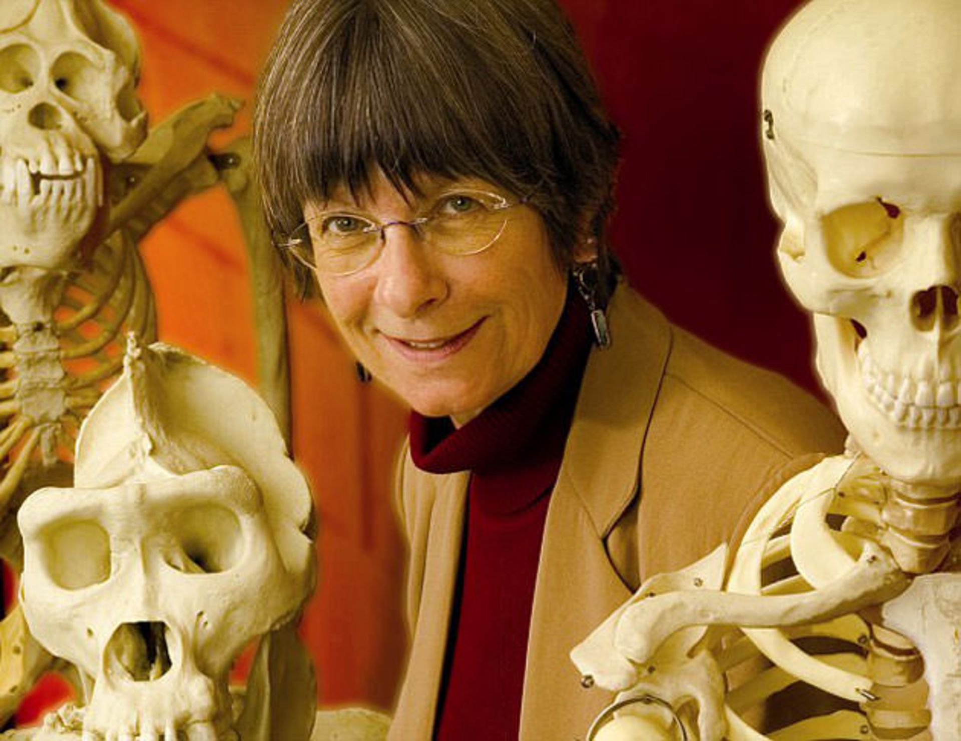 article-0-16140055000005DC-902 634x489