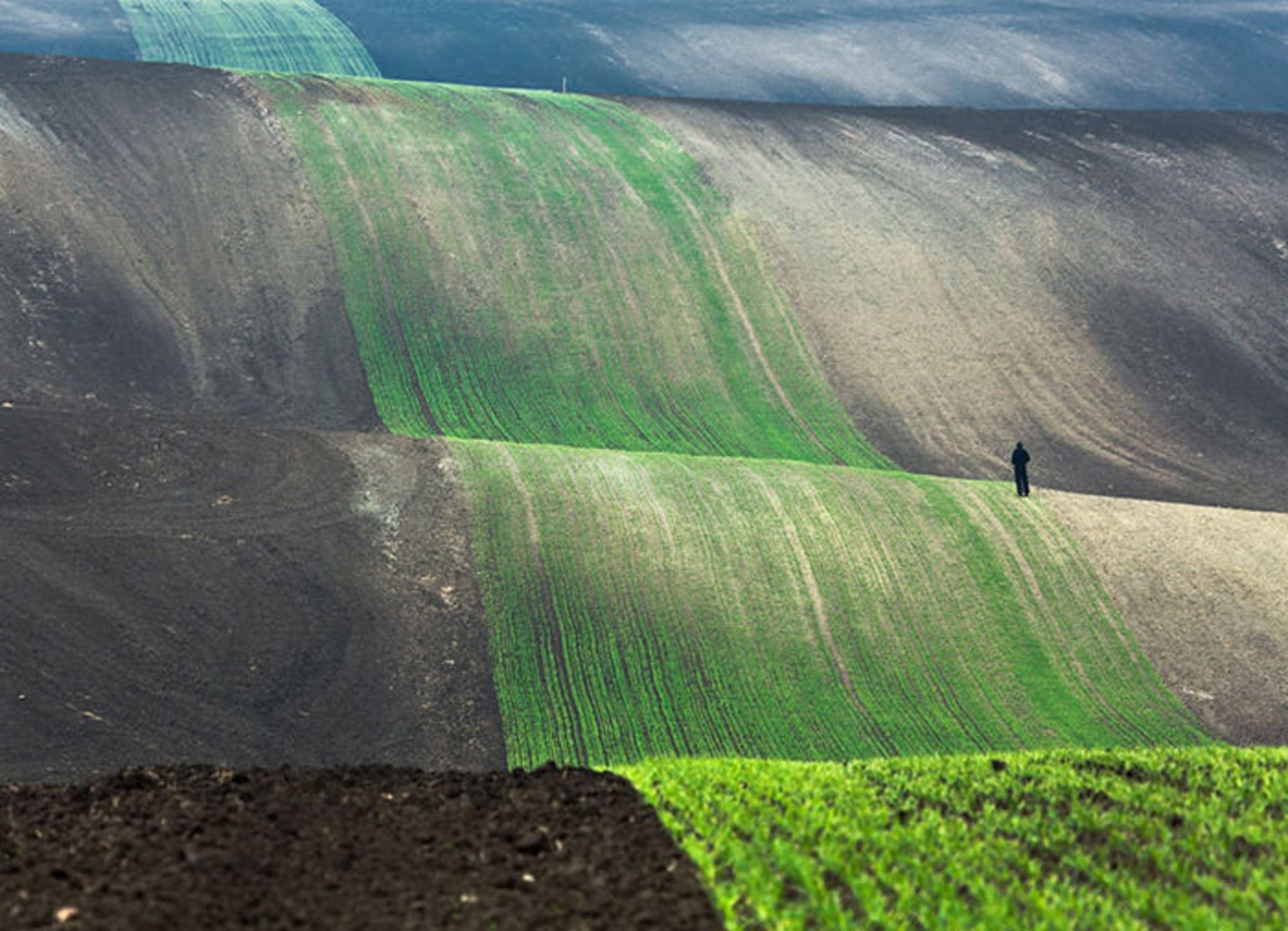 انسان و طبیعت