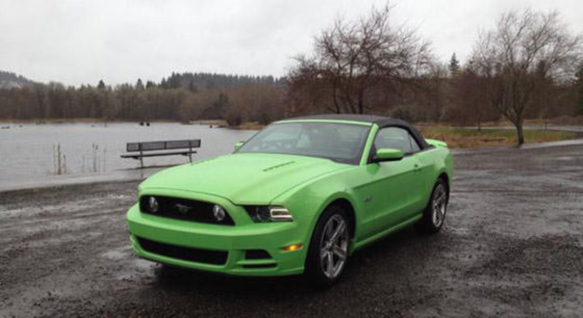 2013-Ford-Mustang-White-Ver