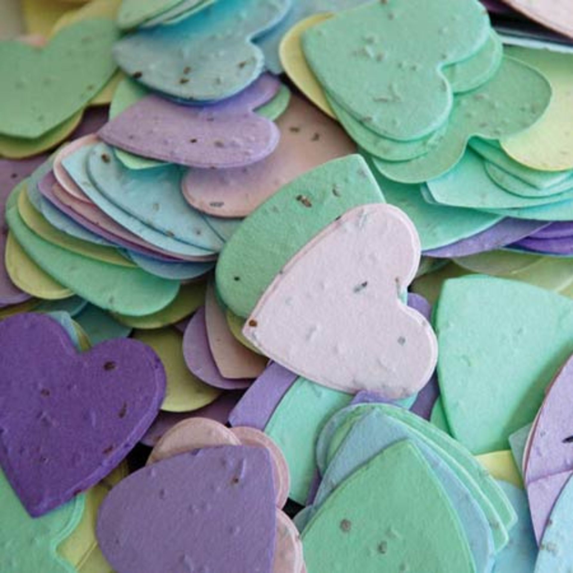 business-cart-plantable-paper-04