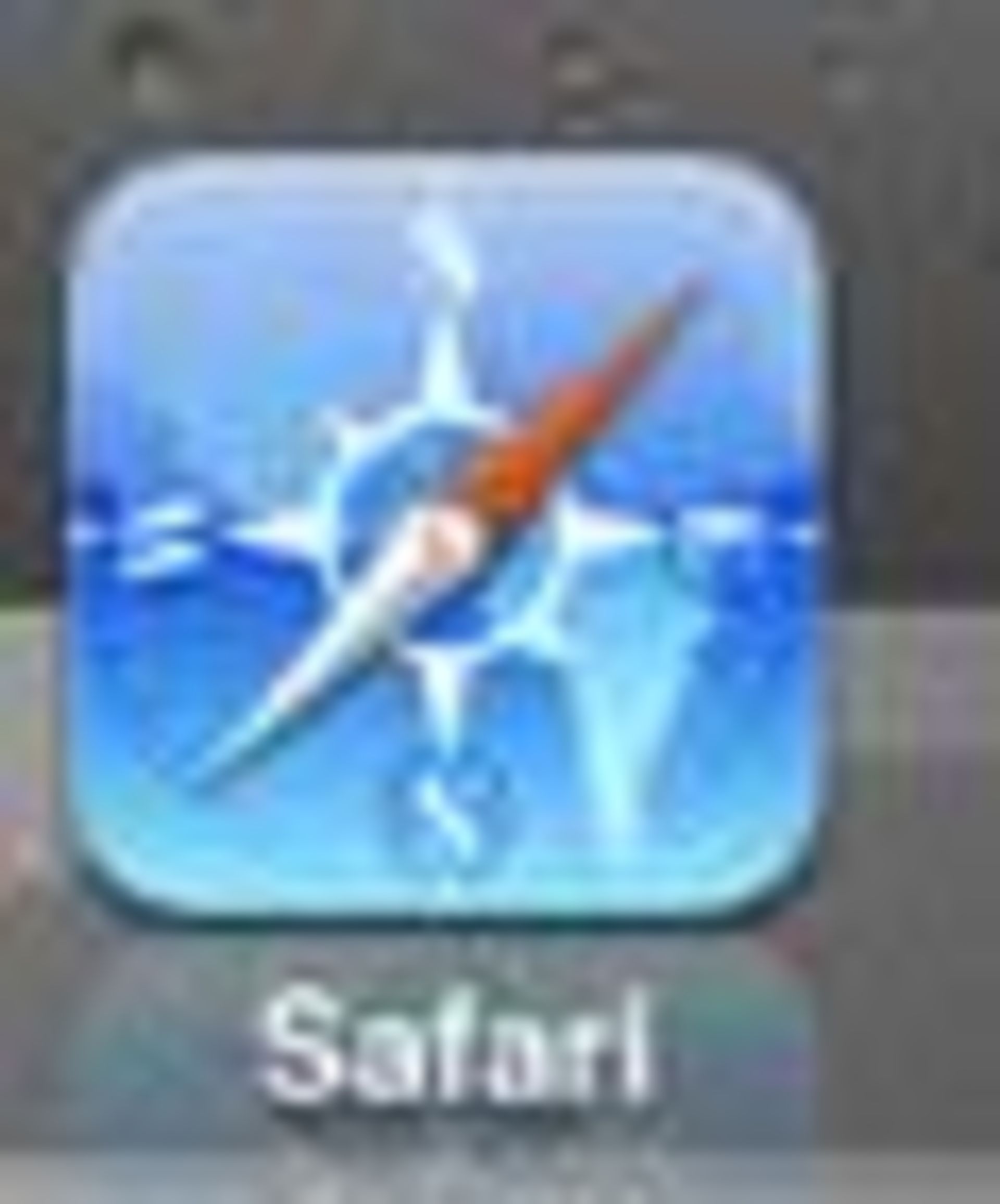safari-IMG_0150