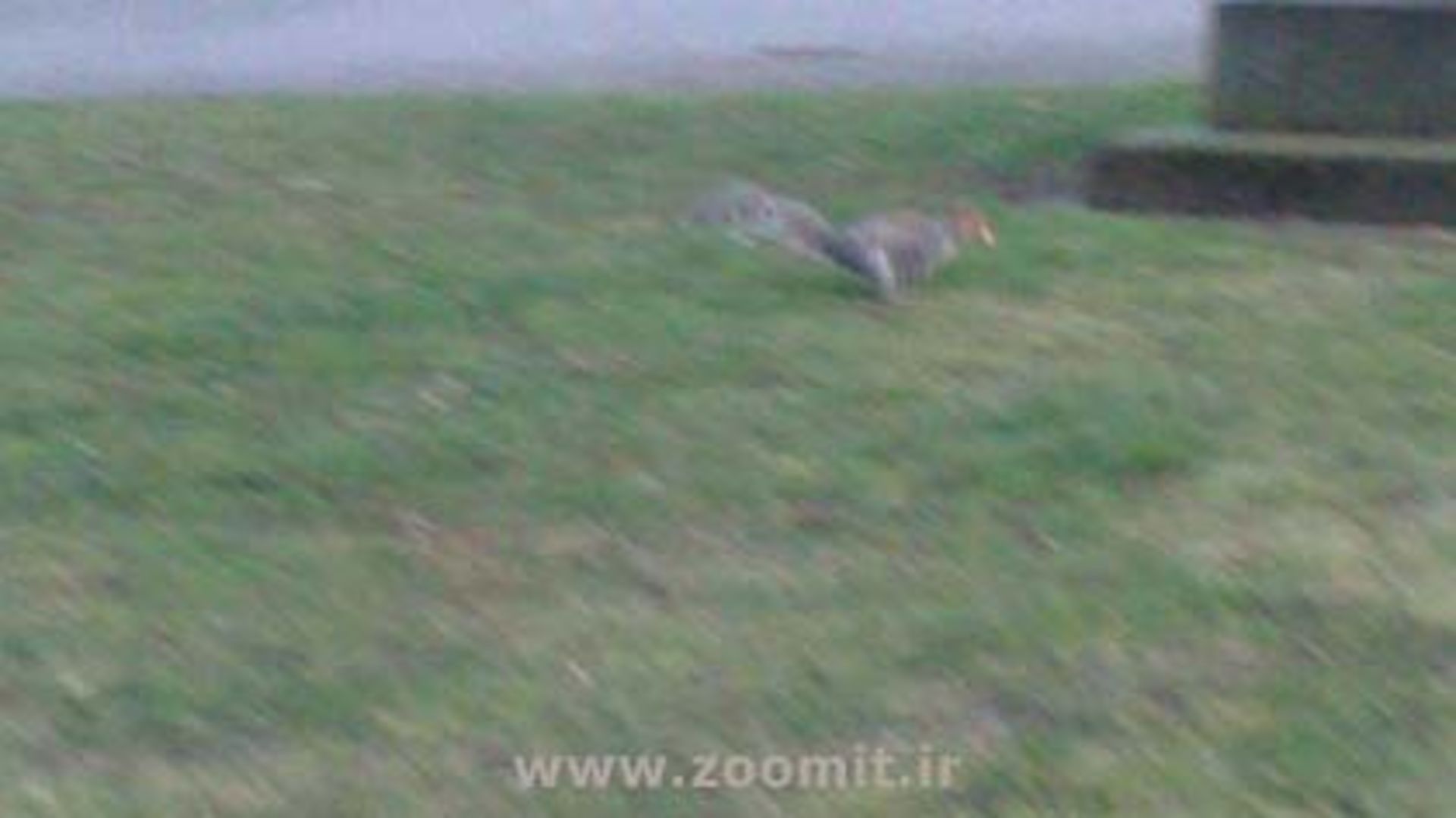 viviz-camera-moving-obj