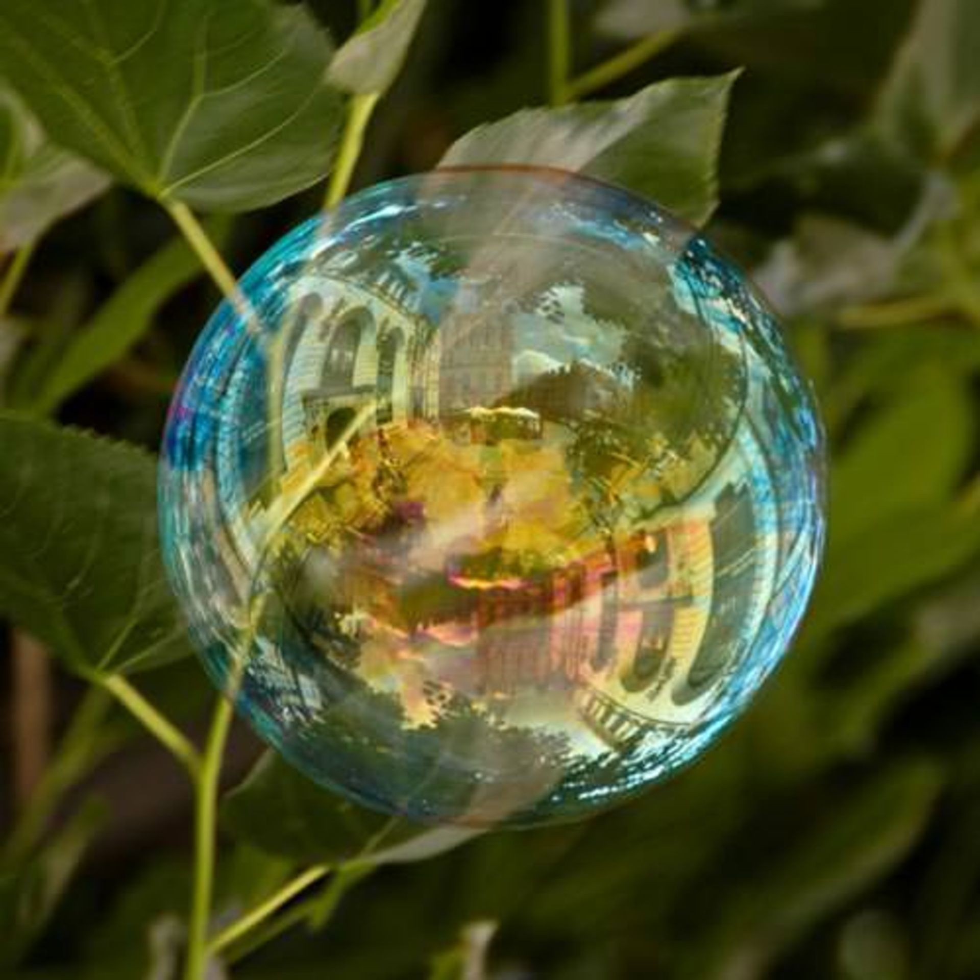 20070605-DSC_9070-Edit-448x295