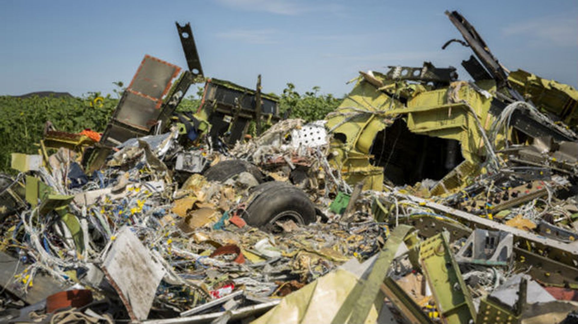 تراژدی هواپیمایی مالزی