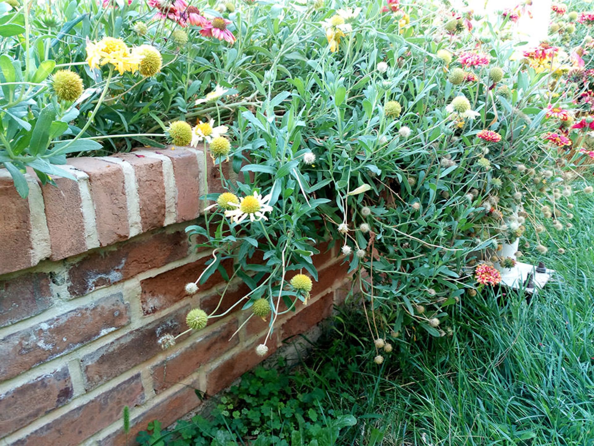 بررسی گوشی Liquid Jade Z ایسر