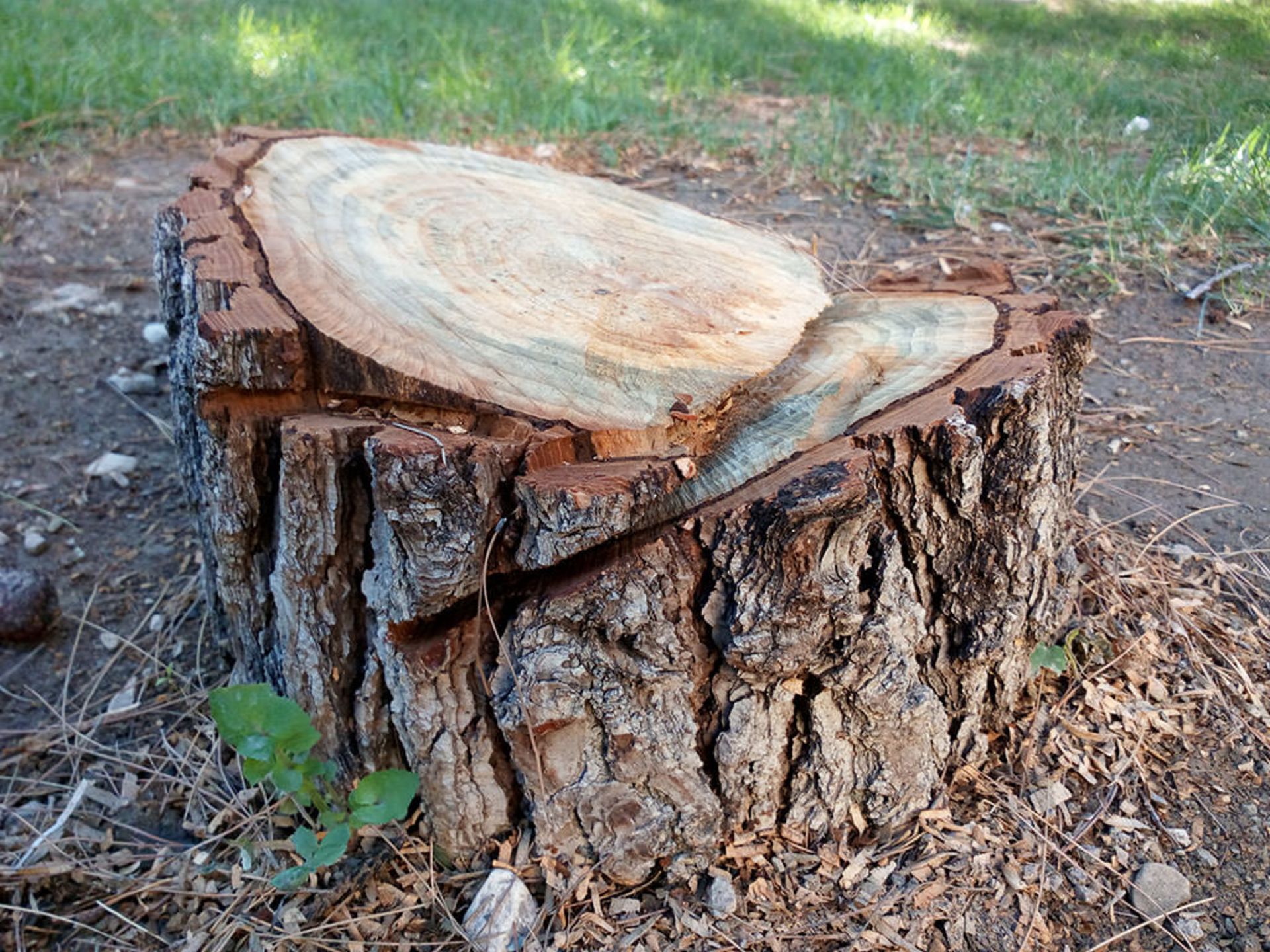 بررسی گوشی Liquid Jade Z ایسر