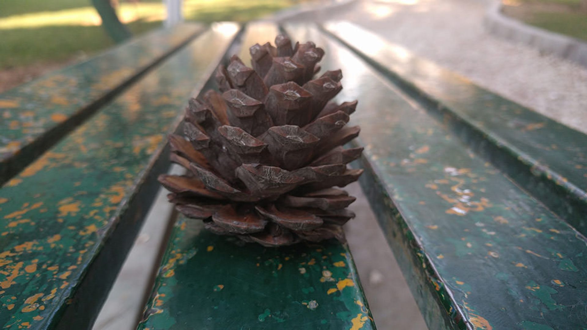 بررسی نکسوس 6 پی هواوی (Huawei Nexus 6P)