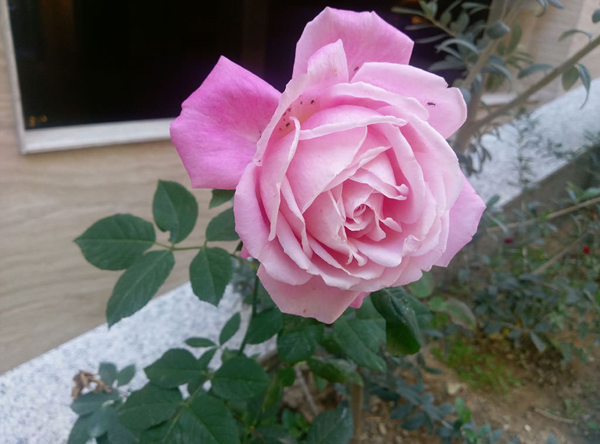 بررسی گوشی وان ای 9 اچ‌تی‌سی (HTC One A9)