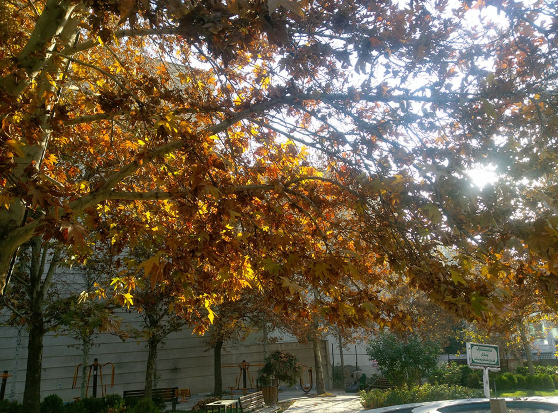 بررسی گوشی وان ای 9 اچ‌تی‌سی (HTC One A9)