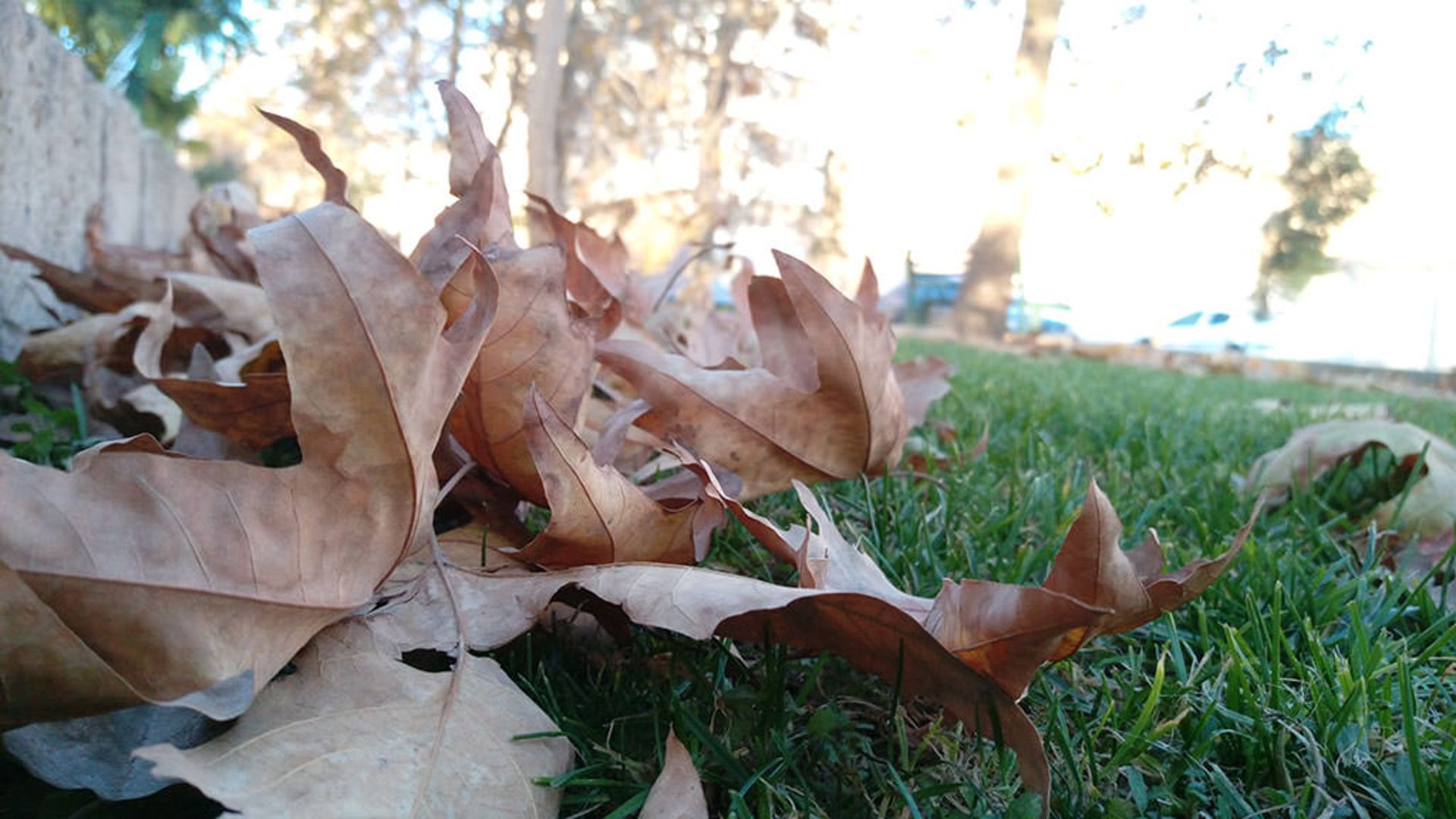 بررسی وان ای 9 پلاس اچ‌تی‌سی (+HTC One E9)