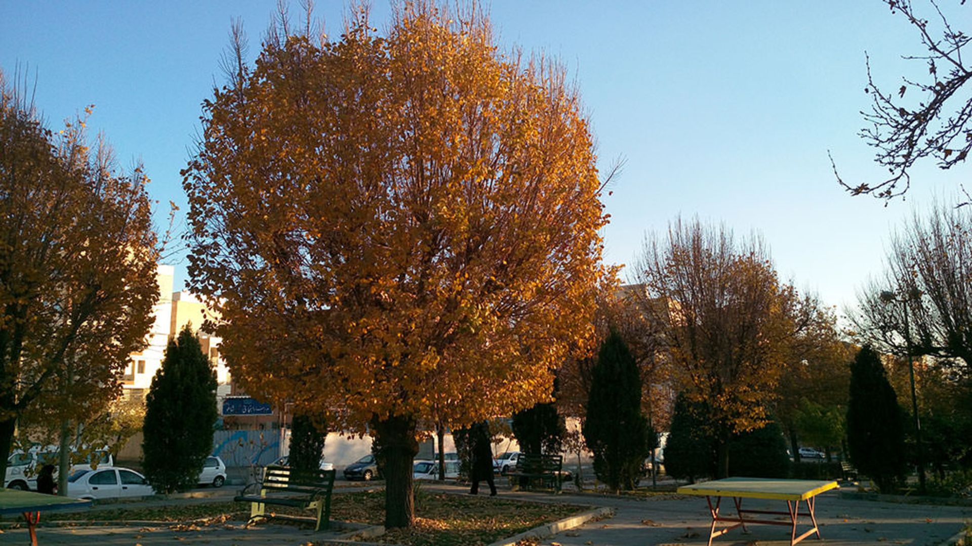 بررسی وان ای 9 پلاس اچ‌تی‌سی (+HTC One E9)