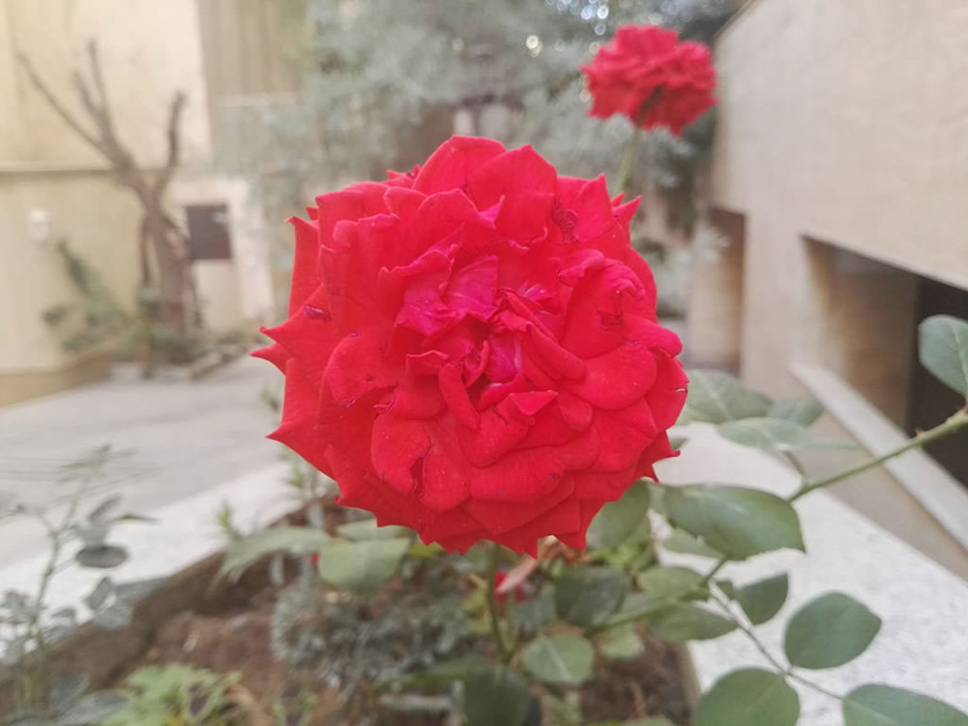 بررسی میت اس هواوی (Huawei Mate S)