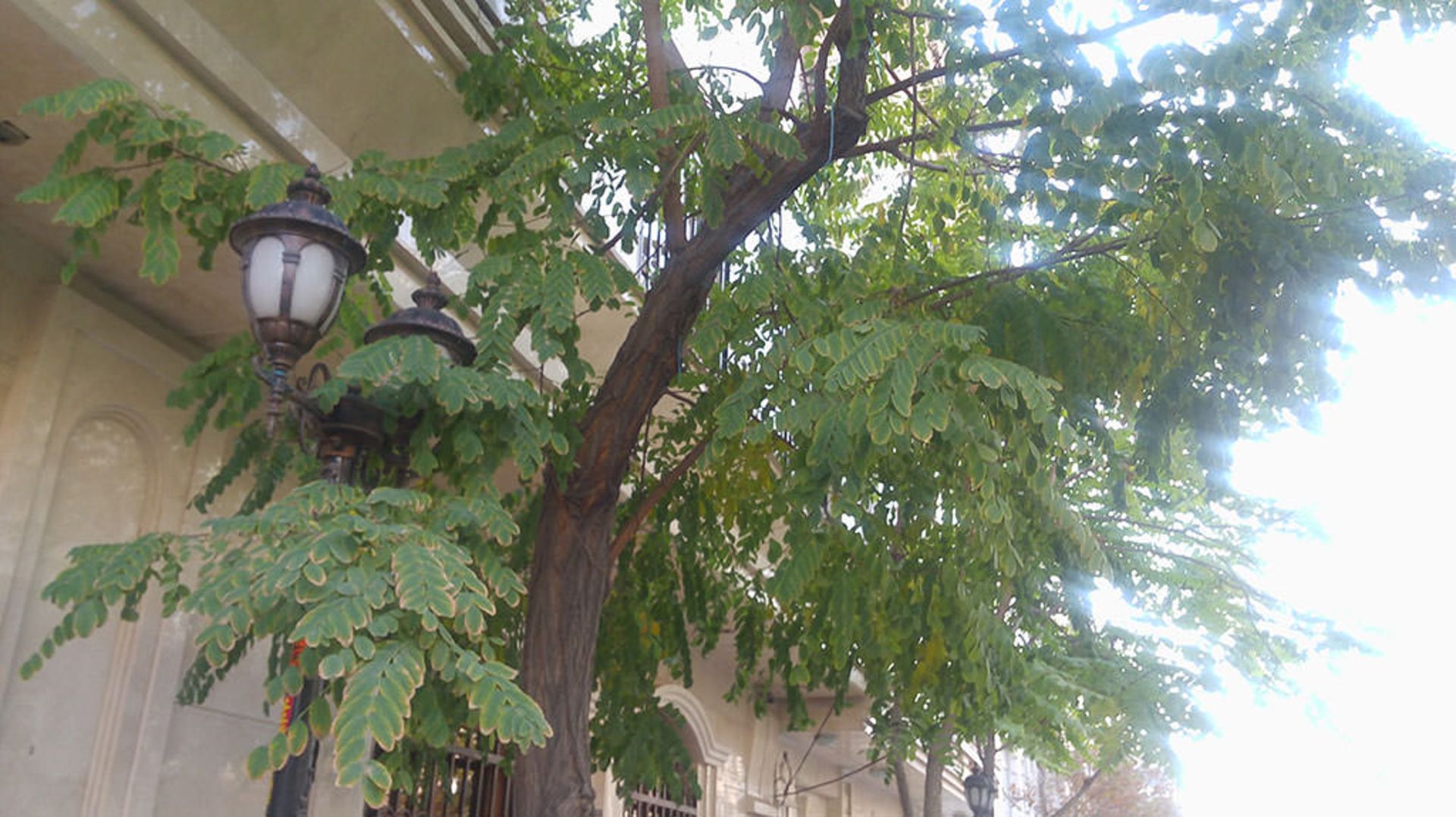 بررسی جی 4 استایلوس ال‌جی (LG G4 Stylus)