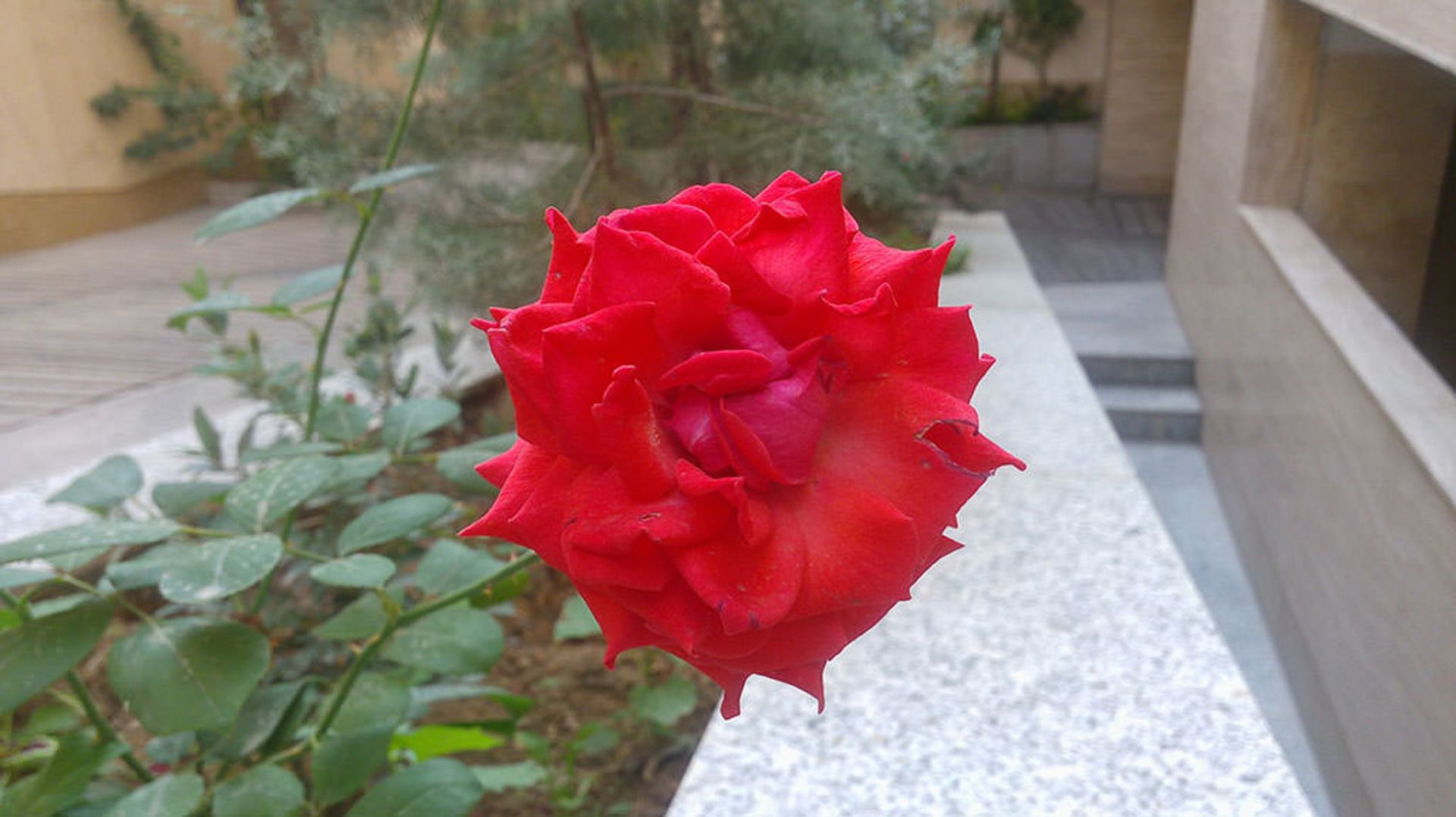 بررسی جی 4 استایلوس ال‌جی (LG G4 Stylus)