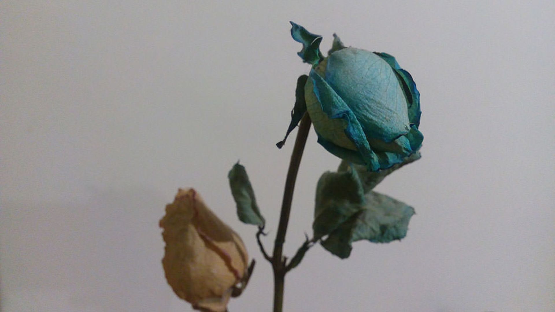 بررسی جی 4 استایلوس ال‌جی (LG G4 Stylus)