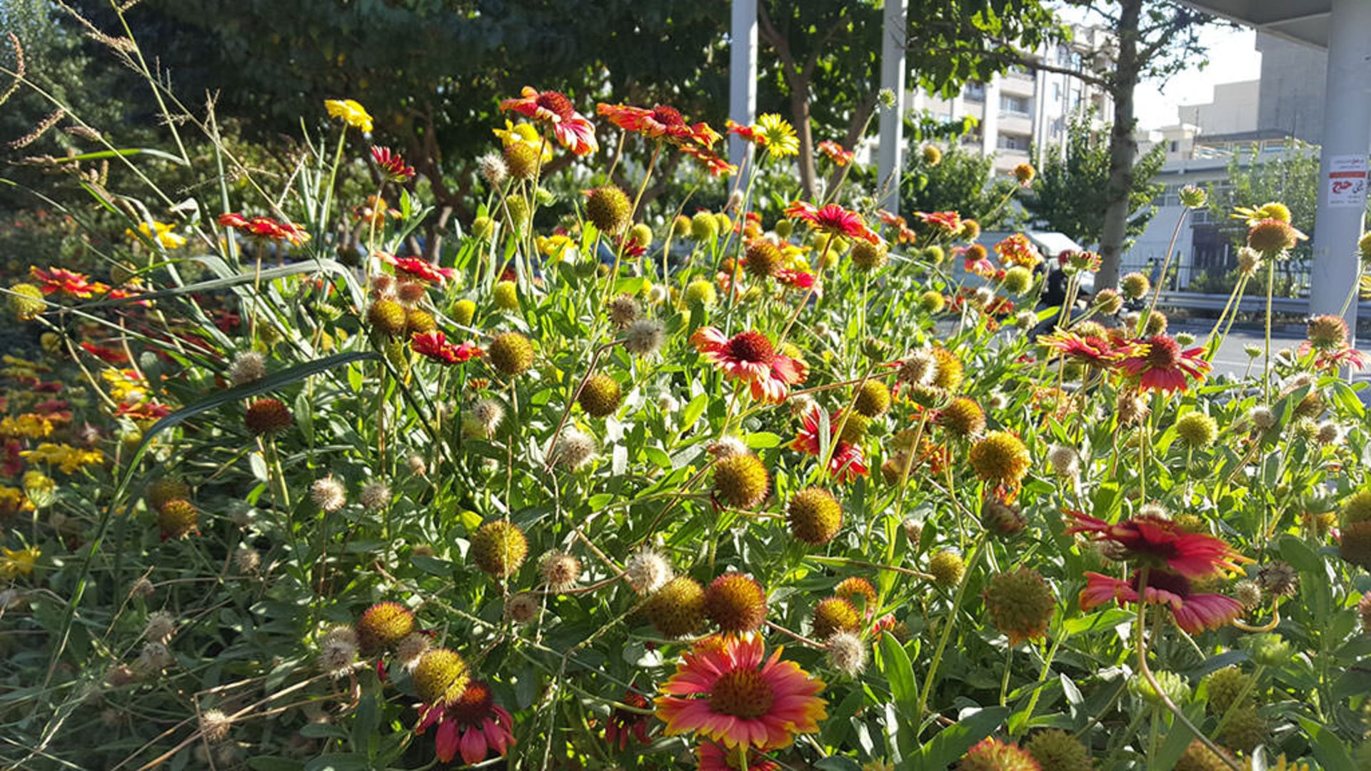 بررسی گلکسی اس 6 اج پلاس سامسونگ (+Galaxy S6 Edge)