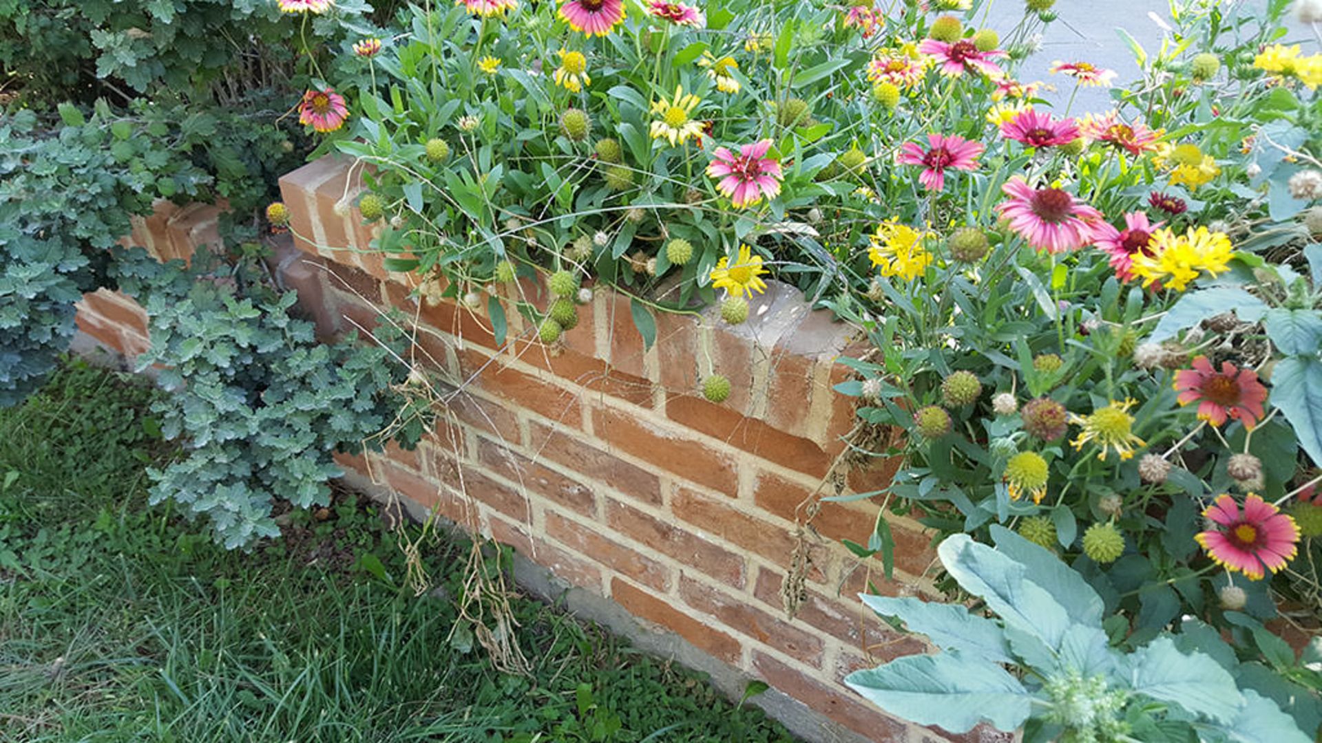 بررسی گلکسی اس 6 اج پلاس سامسونگ (+Galaxy S6 Edge)