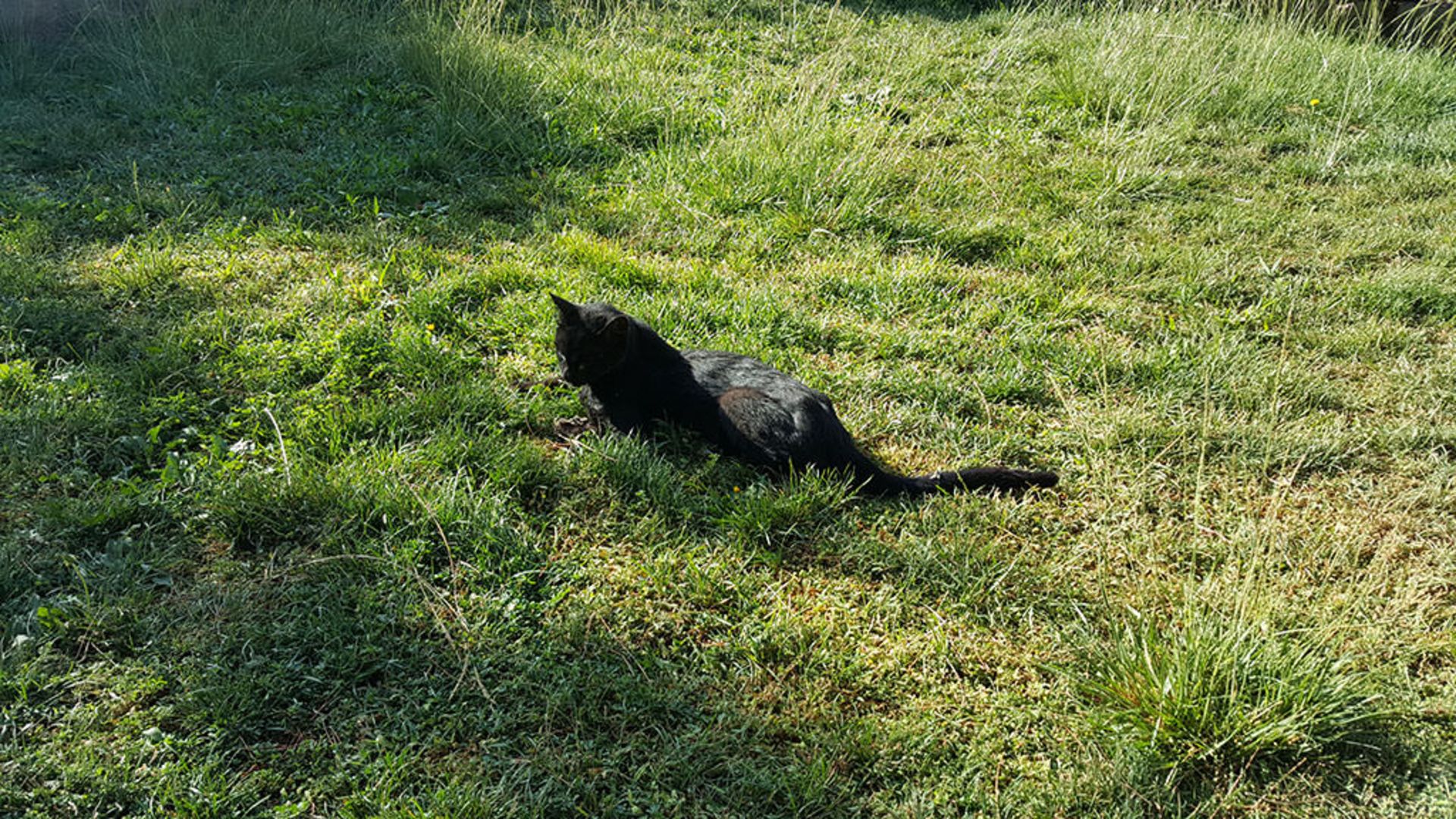 بررسی گلکسی اس 6 اج پلاس سامسونگ (+Galaxy S6 Edge)