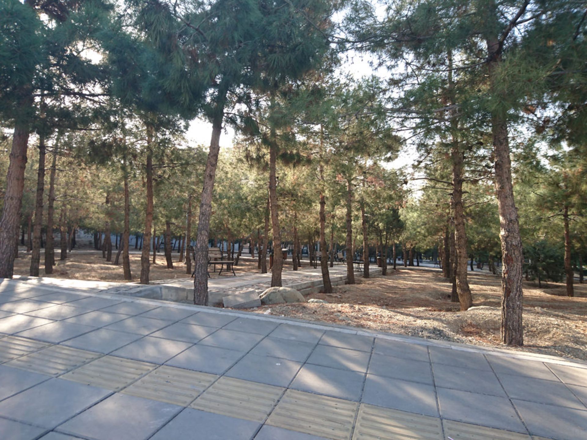 بررسی اکسپریا زد 5 سونی (Sony Xperia Z5)