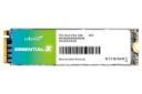 کانکتور و اتصال اس اس دی اکساسند Essential-X NVMe M.2