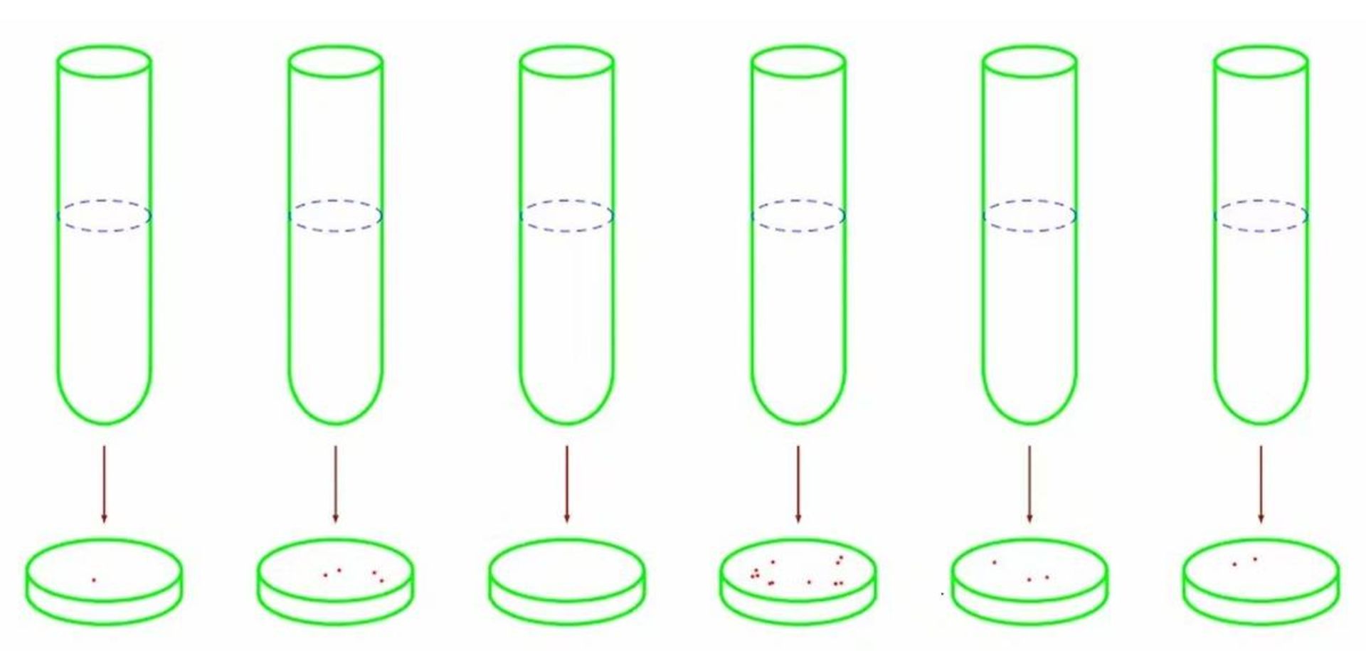آزمایش مقاوم شدن باکتری ها